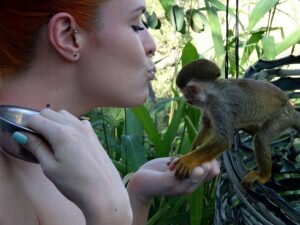 monkeytime-lauren-1024x768