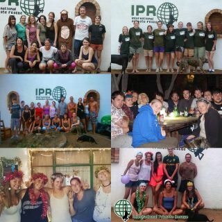 Let’s talk #volunteers. Did you know that #volunteering helps sanctuaries continue doing the rewarding work they do? Did you know that your volunteer fee here at #internationalprimaterescue helps pay for vet bills, food, maintenance along with much much more? Our sanctuary is looking for volunteers, just like the ones in the pictures to help us deliver the best care and enrichment for our #primates. Can you help? Do you want to join us for an unforgettable experience? Check out our bio and get in touch 😀. . Ps who recognises some of those old faces 😀 . #Primatesarenotpets #sanctuarylife #animallover #animallove #experience #animalsanctuary #primatesanctuary #volunteer